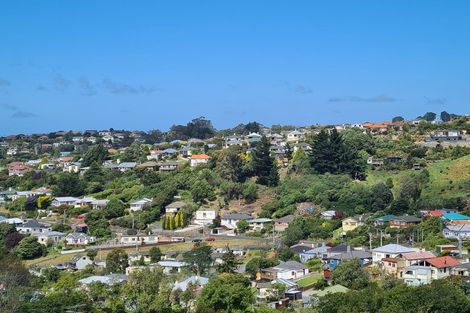 Photo of property in 20 Thomson Street, Lookout Point, Dunedin, 9011