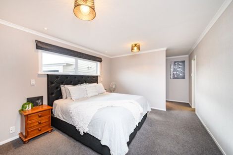 Photo of property in 17 Patea Place, Terrace End, Palmerston North, 4410