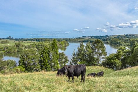 Photo of property in 376 Clark And Denize Road, Pukekawa, 2696