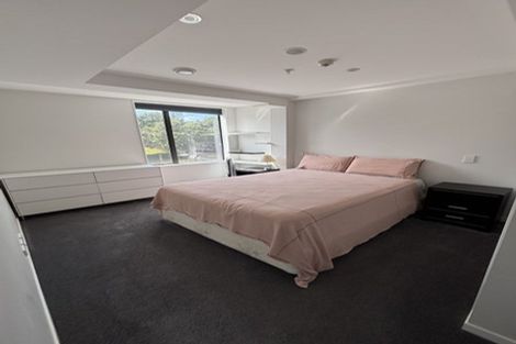 Photo of property in Nouvo Apartments, 2b/21 Rugby Street, Mount Cook, Wellington, 6021