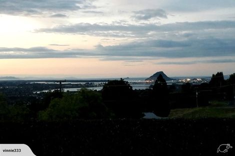 Photo of property in 430 Kaitemako Road, Welcome Bay, Tauranga, 3175