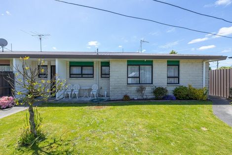 Photo of property in 17 Kiwi Street, Masterton, 5810