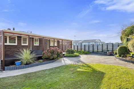 Photo of property in 13 Reservoir Street, Putaruru, 3411