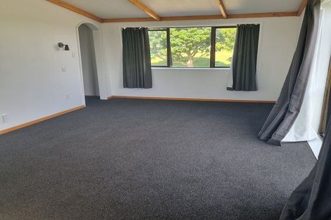 Photo of property in 44 Park Lane, Waitara, 4320