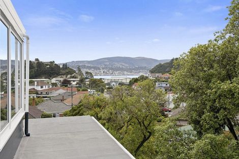 Photo of property in 11 Arawa Street, Tainui, Dunedin, 9013