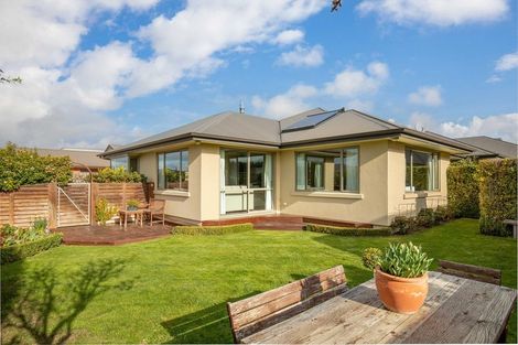 Photo of property in 31 Larch Crescent, Alexandra, 9320