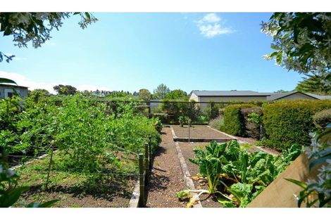 Photo of property in 106 Kapiro Road, Kerikeri, 0294