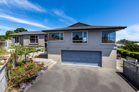 Photo of property in 66a Dunrobin Street, Waverley, Dunedin, 9013