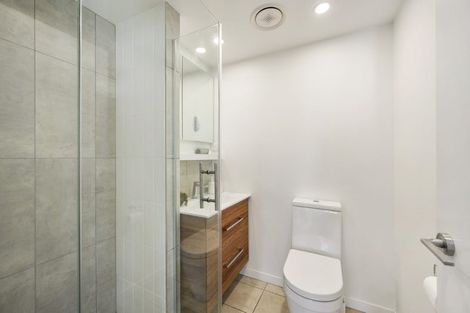 Photo of property in Vsp South, 301/168 Victoria Street, Te Aro, Wellington, 6011