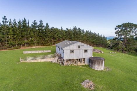 Photo of property in 5 Daisy Burrell Drive, Gulf Harbour, Whangaparaoa, 0930