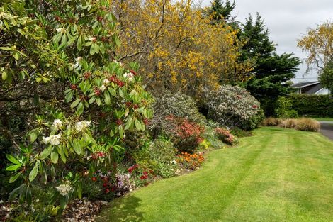 Photo of property in 40 Gordon Place, Levin, 5510