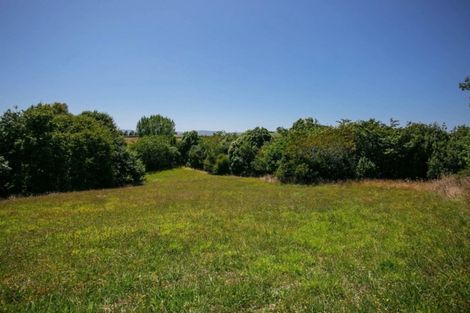 Photo of property in 179 Okoroire Road, Tirau, 3485