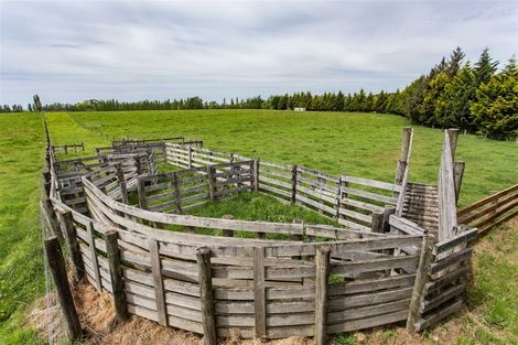 Photo of property in 119 Forestry Road, Ashley, Rangiora, 7477
