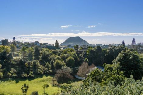Photo of property in 48 Hillcrest Road, Otumoetai, Tauranga, 3110