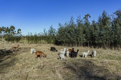 Photo of property in 86 Barkers Road, Ohoka, Rangiora, 7475