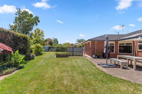 Photo of property in 5 The Haven, Flagstaff, Hamilton, 3210