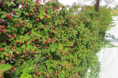 Photo of property in 71c Keri Downs Road, Kerikeri, 0294