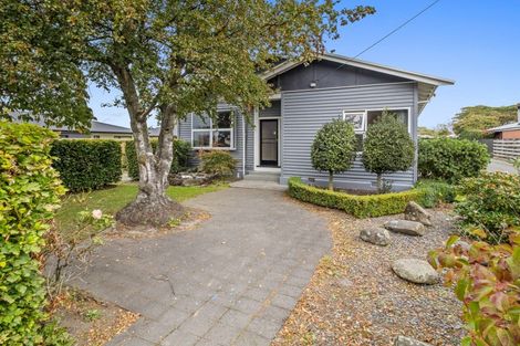 Photo of property in 62 Princes Street, Netherby, Ashburton, 7700