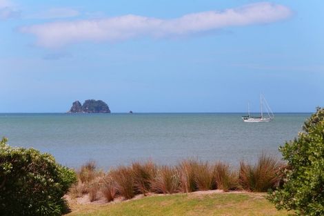 Photo of property in 103 Buffalo Beach Sh25 Road, Whitianga, 3510