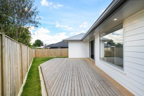 Photo of property in 163a Denbigh Street, Feilding, 4702