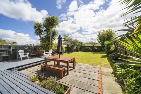 Photo of property in 48 Matipo Street, Takaro, Palmerston North, 4410