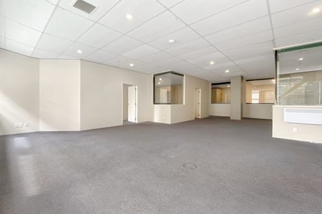 Photo of property in 115 Vivian Street, Te Aro, Wellington, 6011