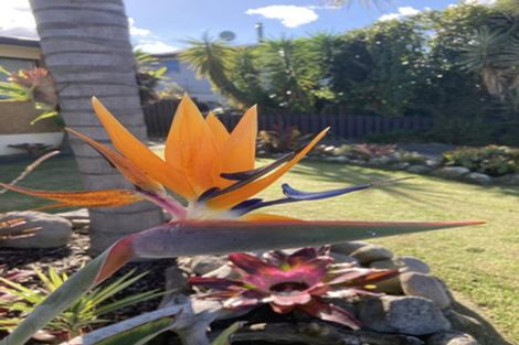 Photo of property in 125 Riverside Drive, Whakatane, 3120