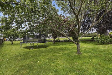 Photo of property in 1/3 Fitzherbert Street, Putaruru, 3411