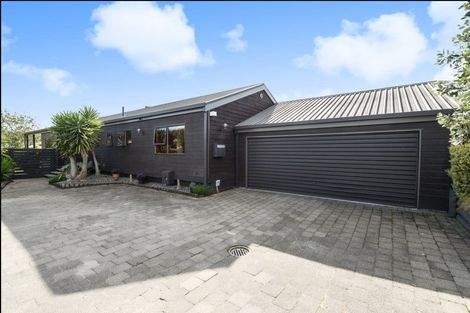 Photo of property in 22 Mcmeekan Avenue, Chartwell, Hamilton, 3210