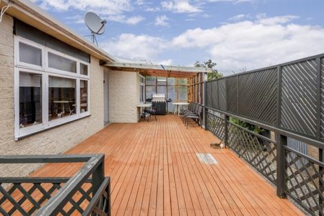 Photo of property in 11a Douglas Street, Levin, 5510