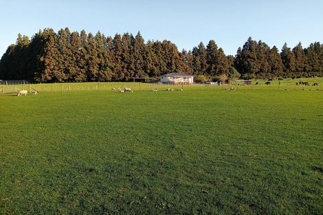Photo of property in 17 Farrelly Road, Waikino, Waihi, 3682