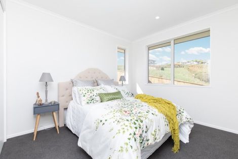 Photo of property in 34 Lisle Farm Drive, Pukekohe, 2120