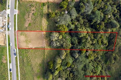 Photo of property in 23 Michael Bosher Way, Flat Bush, Auckland, 2019