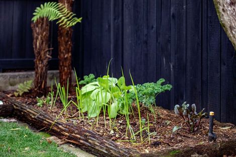 Photo of property in 1307 Victoria Street, Beerescourt, Hamilton, 3200