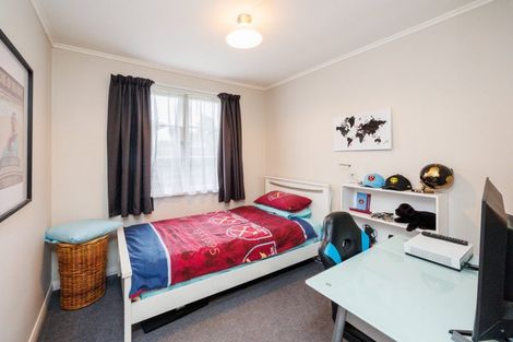 Photo of property in 19 Salisbury Avenue, Terrace End, Palmerston North, 4410