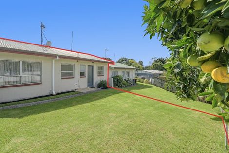 Photo of property in 257b Ngatai Road, Otumoetai, Tauranga, 3110