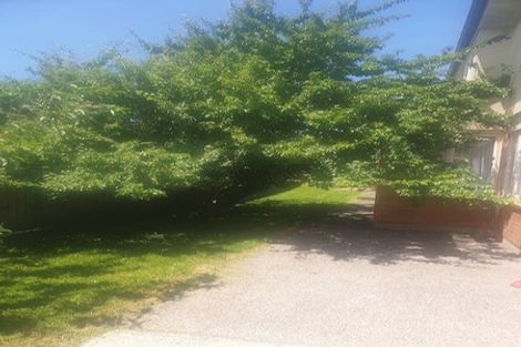 Photo of property in 31a Rogan Street, Mount Roskill, Auckland, 1041