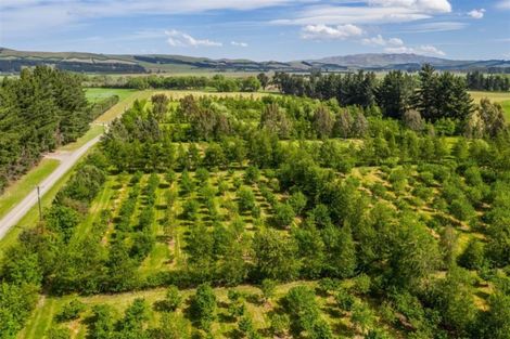 Photo of property in 64 Buschs Road, Medbury, Hawarden, 7385