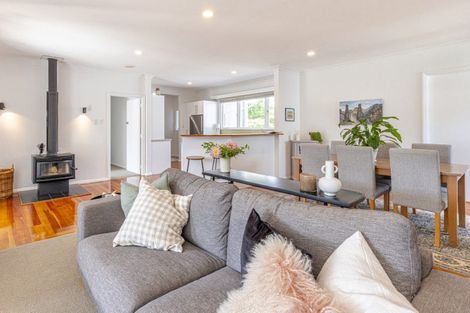 Photo of property in 13 Porritt Street, Saint Johns Hill, Whanganui, 4500