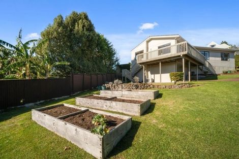 Photo of property in 85 Alton Avenue, Hillcrest, Auckland, 0627