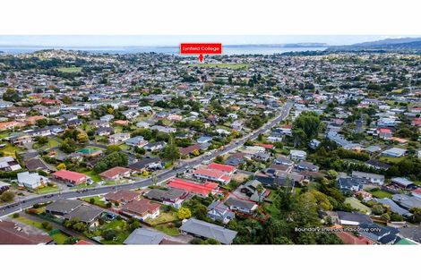 Photo of property in 31 John Davis Road, Mount Roskill, Auckland, 1041