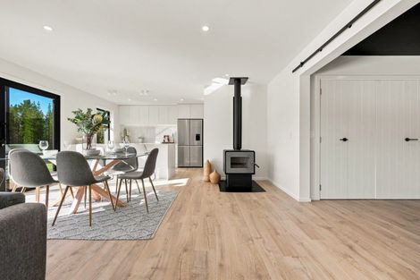 Photo of property in 133a Letts Gully Road, Letts Gully, Alexandra, 9393