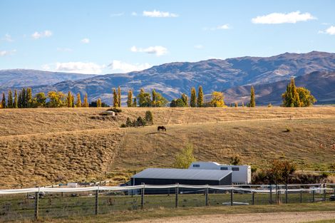 Photo of property in 239 Nelsen Ridge Road, Waikerikeri, Alexandra, 9393