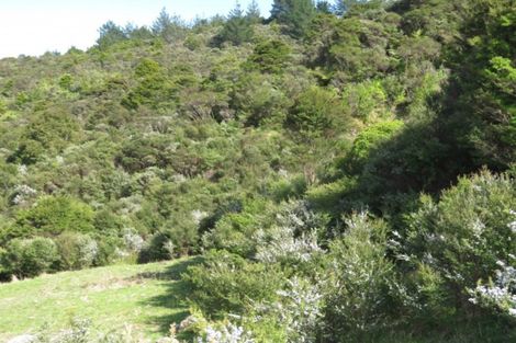 Photo of property in 2043 The 309 Road, Kaimarama, Whitianga, 3591