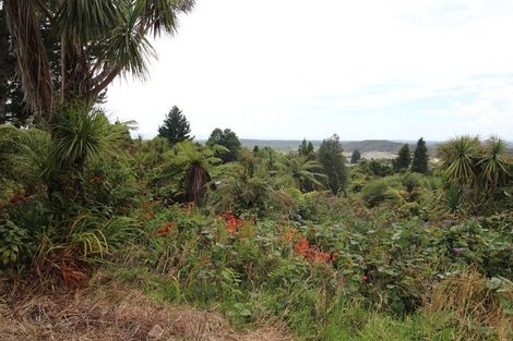 Photo of property in 7 Gay Street, Ross, 7812