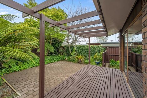 Photo of property in 14a Storey Avenue, Forest Lake, Hamilton, 3200