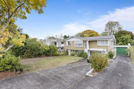 Photo of property in 11 Stephen Avenue, Henderson, Auckland, 0610