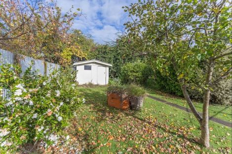 Photo of property in 21 Carlisle Street, Levin, 5510