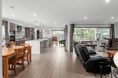 Photo of property in 53 Herbert Road, Queenwood, Hamilton, 3210