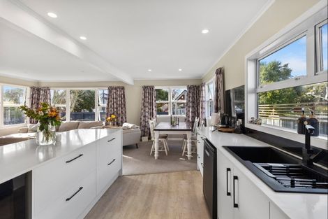 Photo of property in 11 Duke Street, Levin, 5510